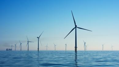 A collection of wind turbines in the sea with a clear blue sky in the background